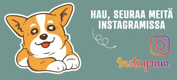 Koiran lelut instagram