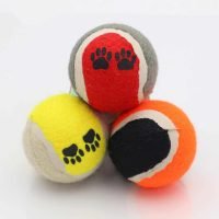 Koiran lelut - Kolmen tennispallon setti