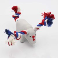 Koiran lelut - Vinkuva sarvikuono köysillä