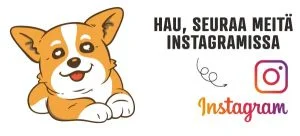 Koiran lelut instagram